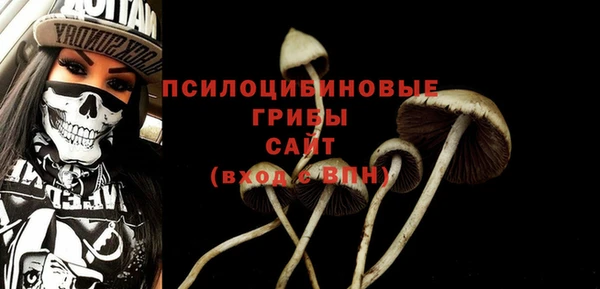 ECSTASY Новокубанск