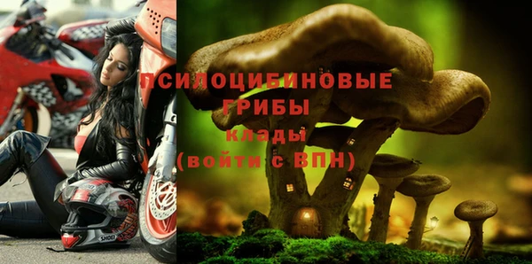 ECSTASY Новокубанск