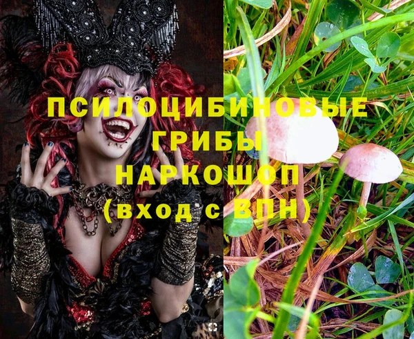 ECSTASY Новокубанск
