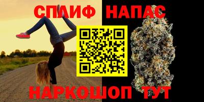 a pvp Гатчина
