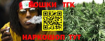 гашик Берёзовский