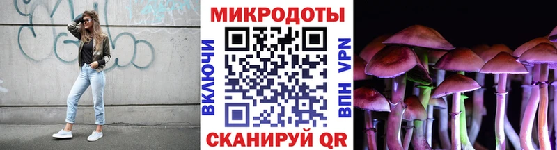 Галлюциногенные грибы Psilocybine cubensis Дзержинск