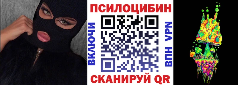 Псилоцибиновые грибы Cubensis  Дзержинск 