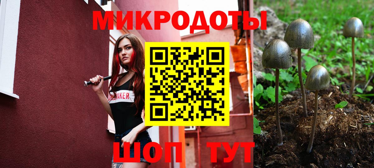 Псилоцибиновые грибы Cubensis Дзержинск