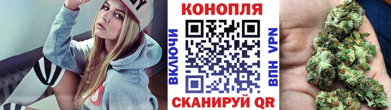 Бошки Шишки гибрид  продажа наркотиков  Дзержинск 
